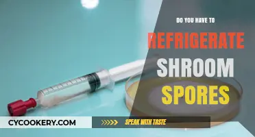 Should Shroom Spores Be Refrigerated? Storage Tips for Optimal Viability