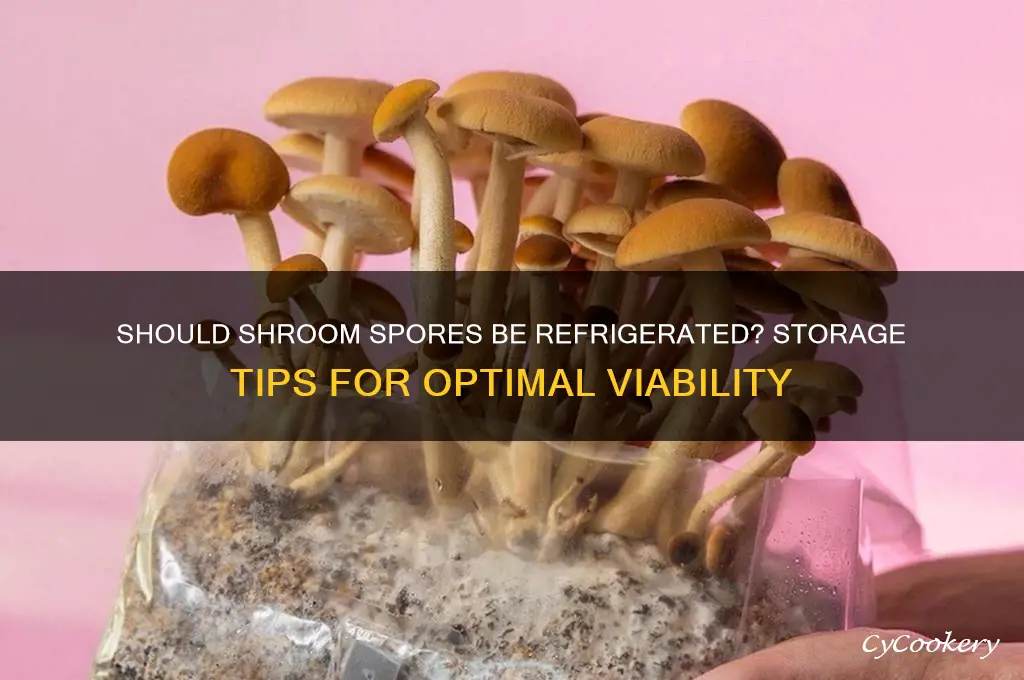 do you have to refrigerate shroom spores