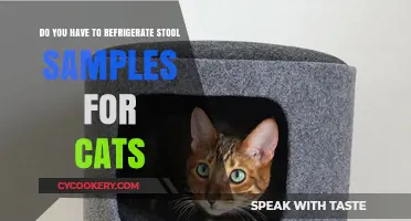 Should Cat Stool Samples Be Refrigerated? Essential Tips for Pet Owners