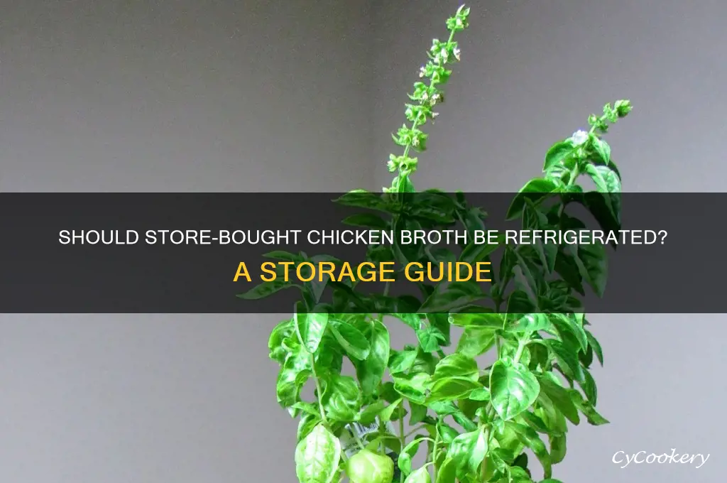 do you have to refrigerate stpre bought chicken broth