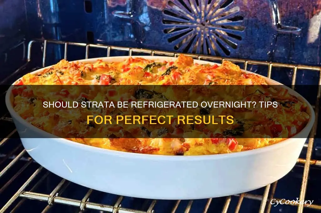 do you have to refrigerate strata overnight