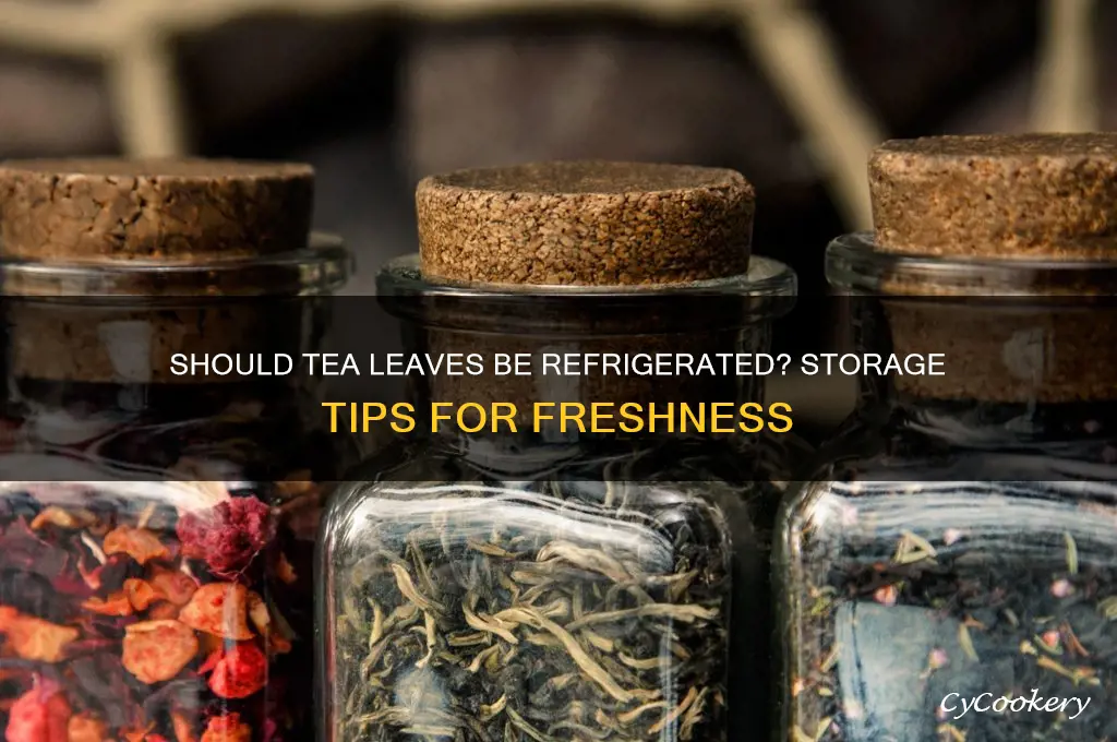do you have to refrigerate tea leaves