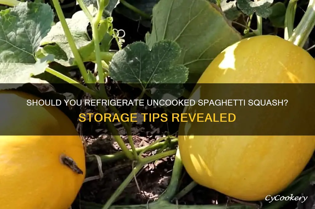 do you have to refrigerate uncooked paghetti squash