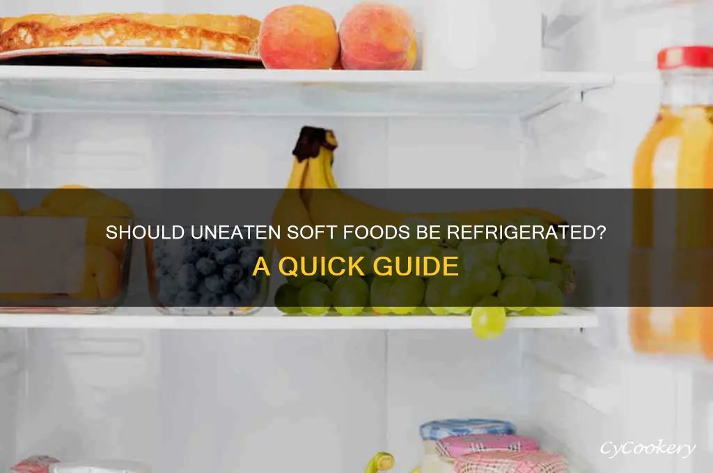 do you have to refrigerate uneaten soft food