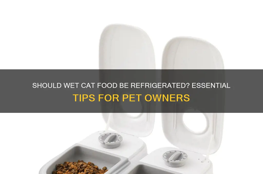 do you have to refrigerate wet cat