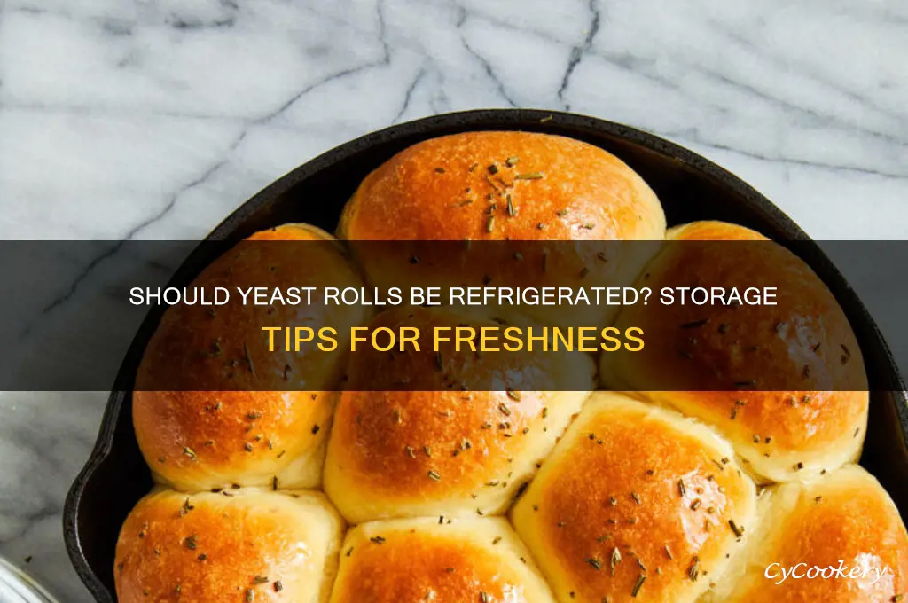 do you have to refrigerate yeast rolls
