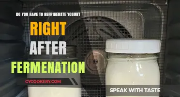 Refrigerating Yogurt Post-Fermentation: Essential or Optional? Expert Insights