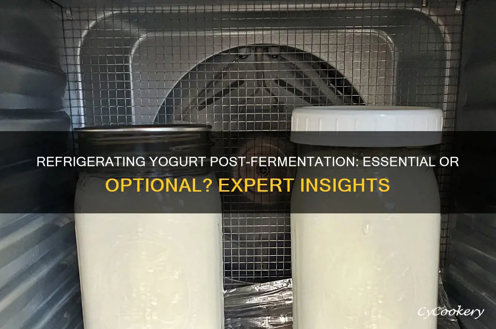 do you have to refrigerate yogurt right after fermenation
