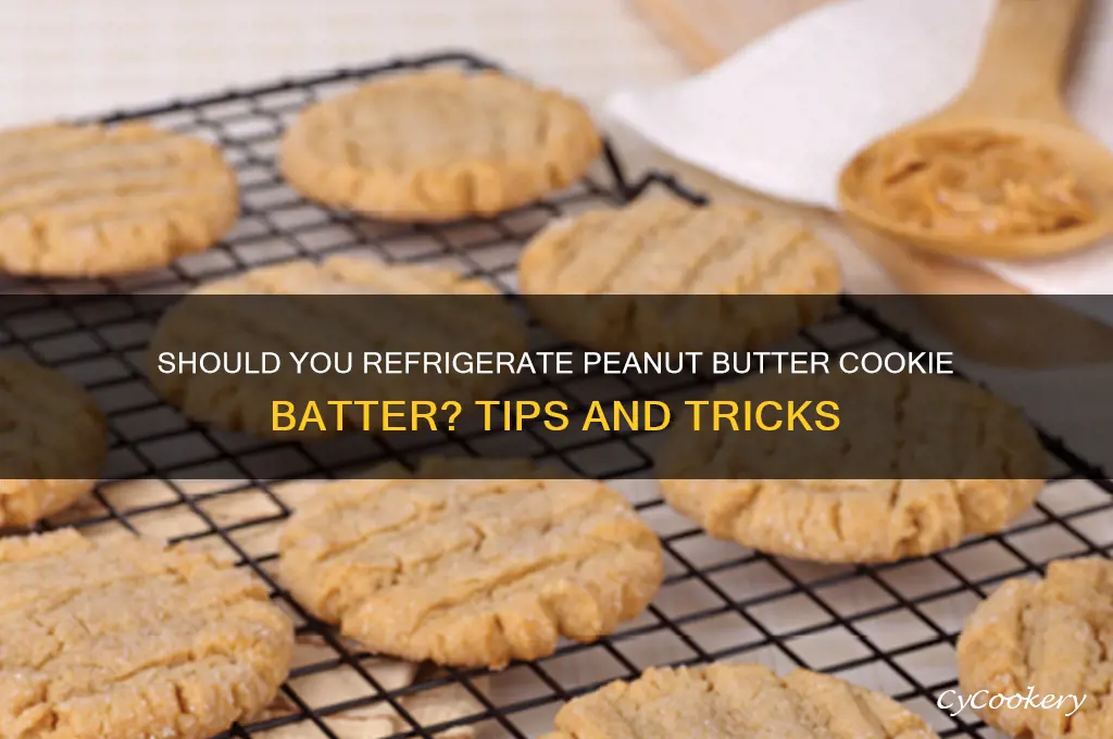 do you have to refrigerator peanut butt cookie batter