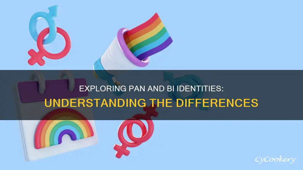 do you idenify as a pan and bi
