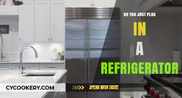 Refrigerator Setup Simplified: Do You Just Plug It In?