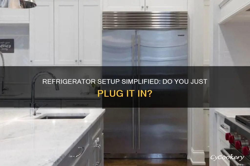 do you just plug in a refrigerator