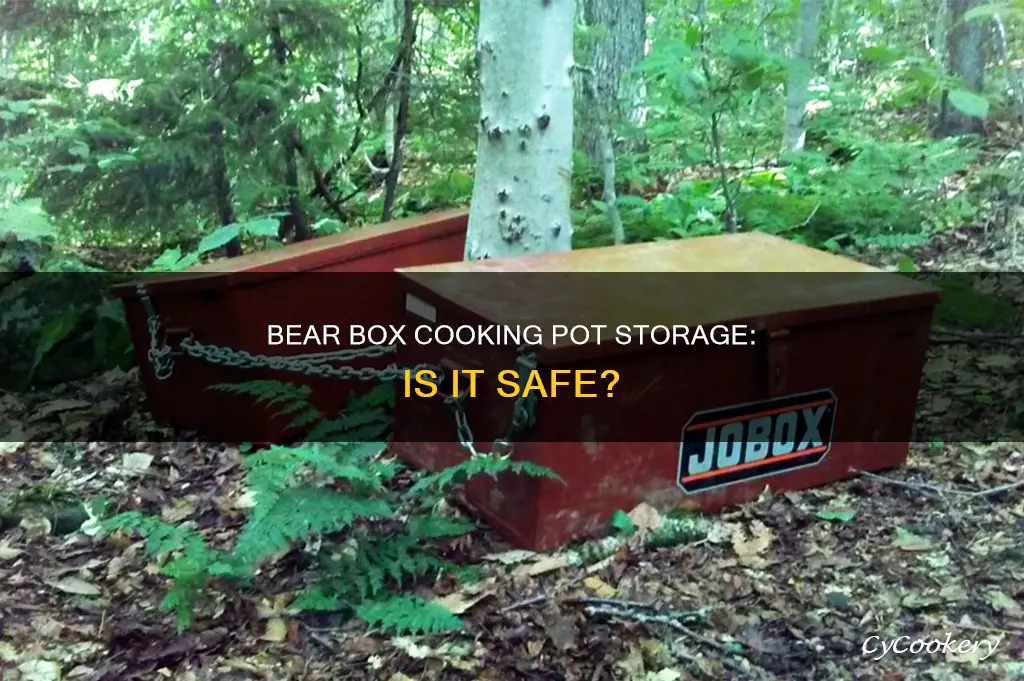 do you keep cooking pots in bear box