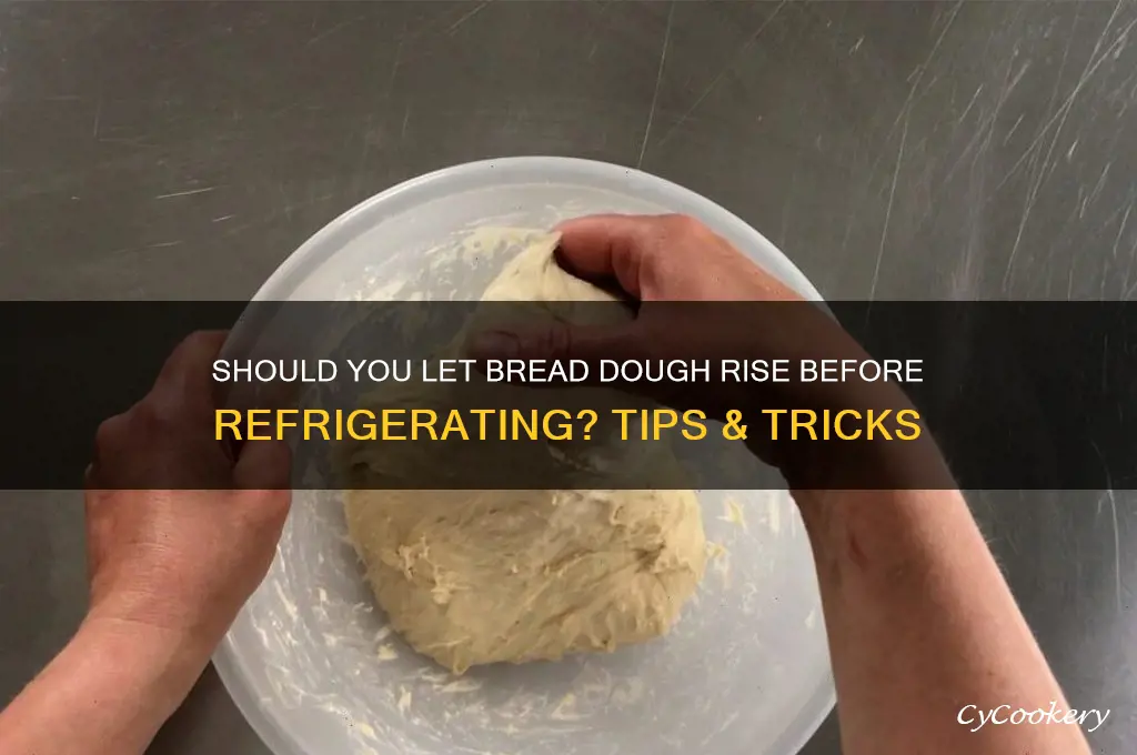 do you let bread dough rise before refrigerating