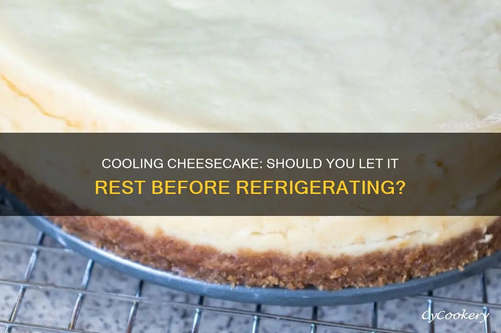 do you let cheesecake cool before refrigerating