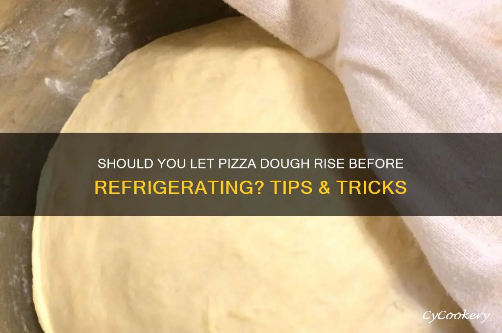 do you let pizza dough rise before refrigerating