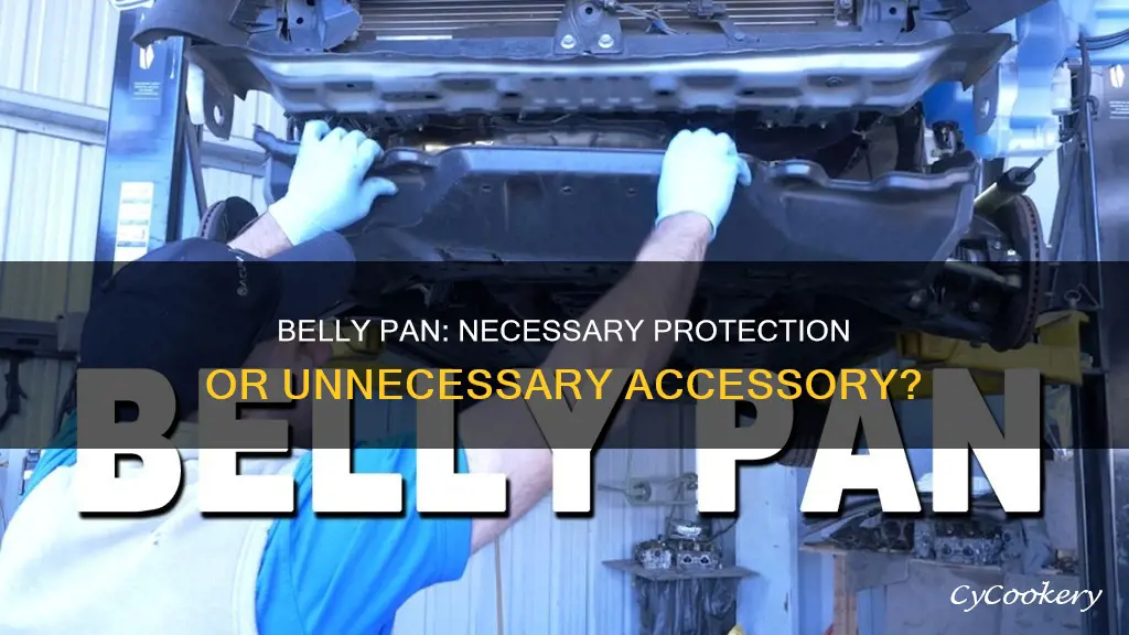 do you need a belly pan