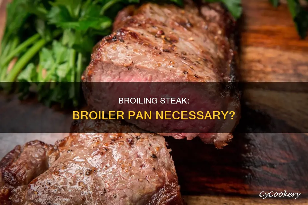 do you need a broiler pan to broil steak