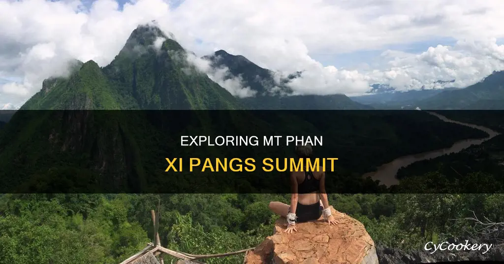 do you need a guide for mt phan xi pan