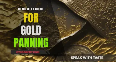 Gold Panning: License or Freedom?