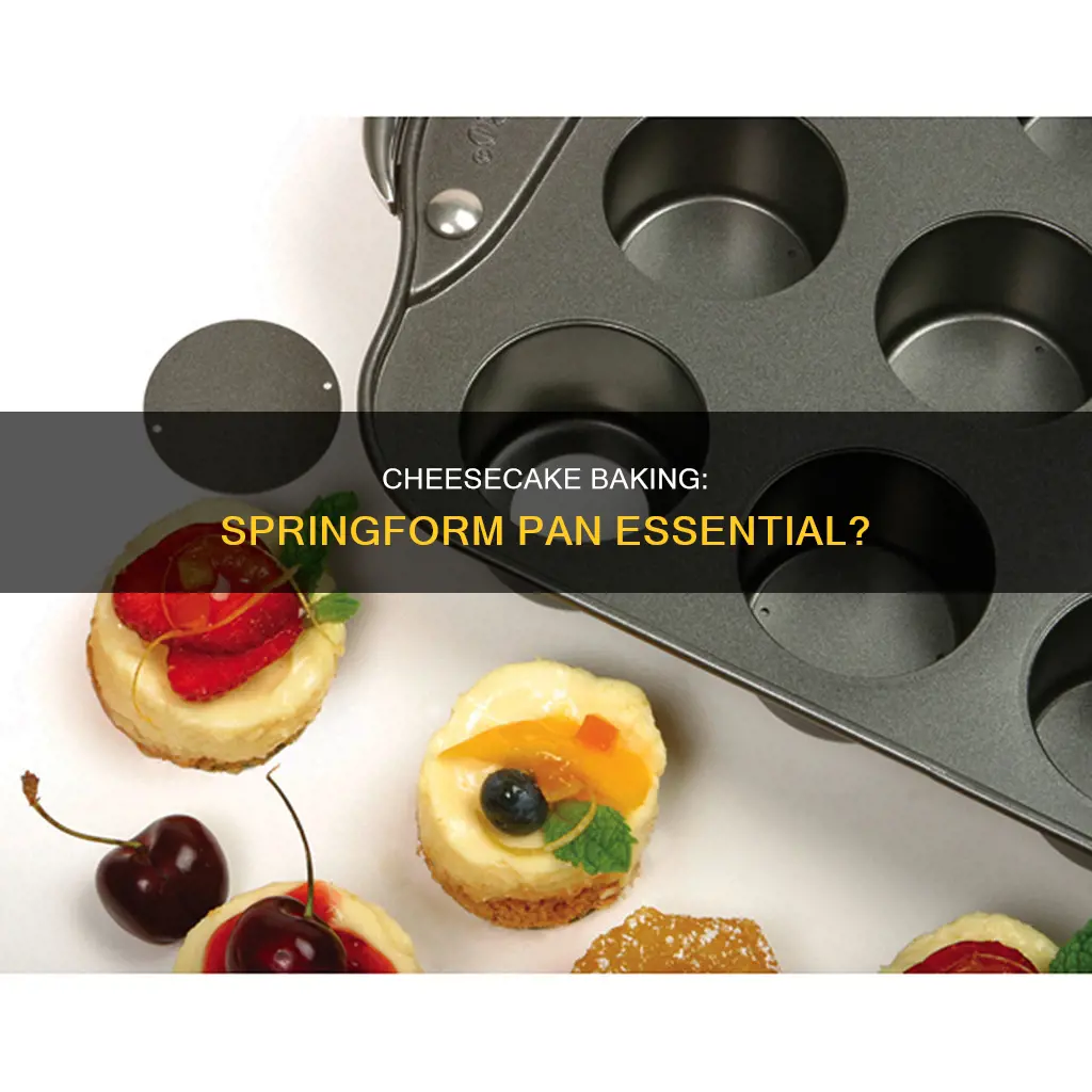 do you need a sprngform pan to ake cheesecake