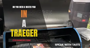 Water Pan: Traeger's Secret Weapon?