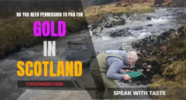 Panning for Gold in Scotland: Legal?