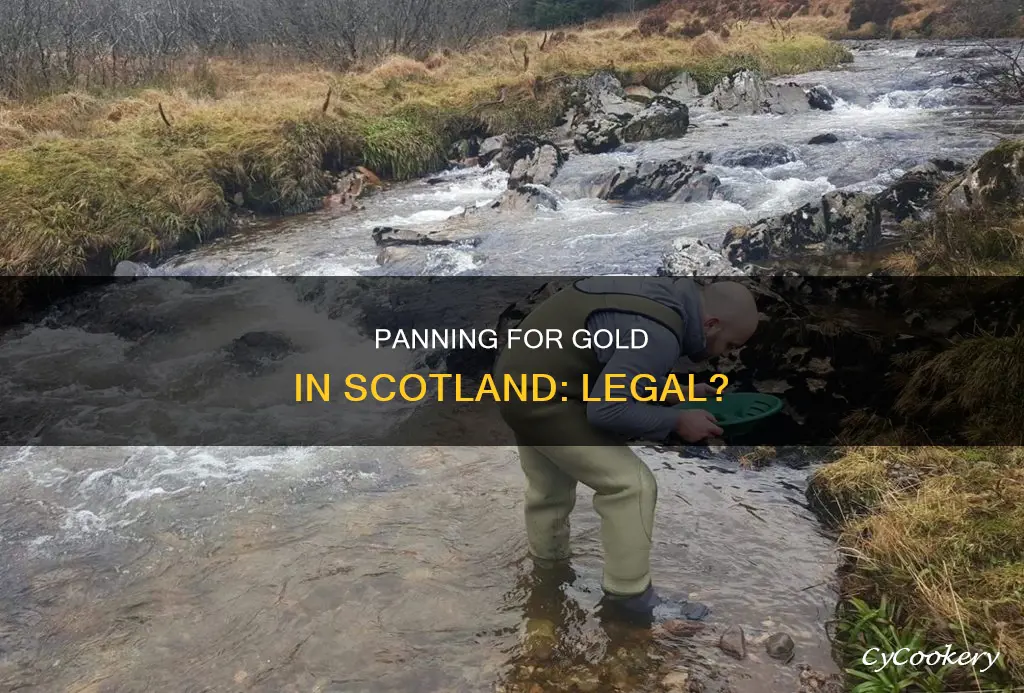 do you need permission to pan for gold in scotland