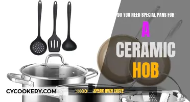 Special Pans: Ceramic Hob Necessity?