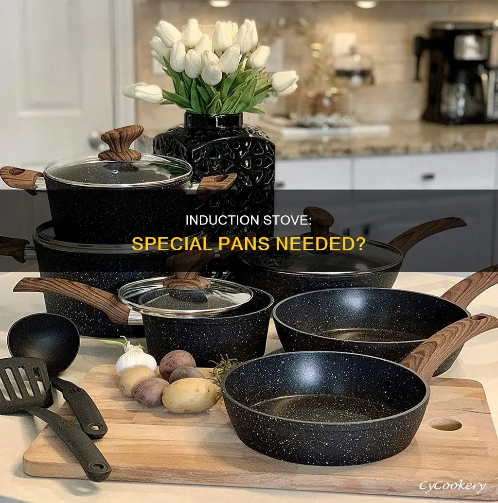 do you need special pans for an induction stove