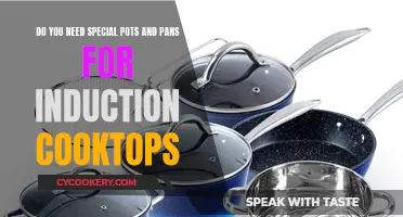 Induction Cookware: Special Pots and Pans Needed?