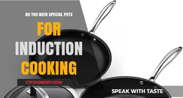 Induction Cooking: What Pots Do You Need?