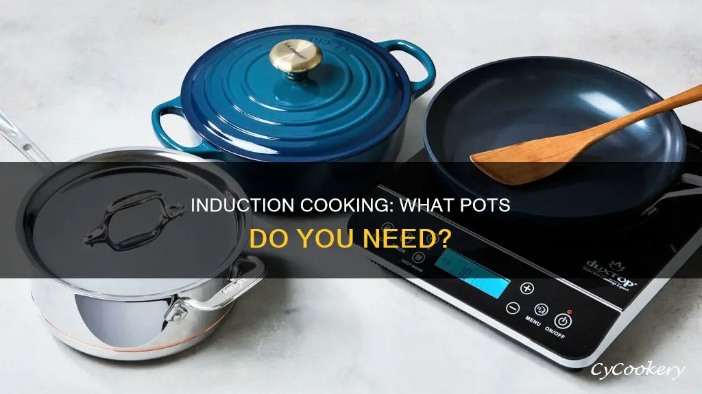 do you need special pots for induction cooking