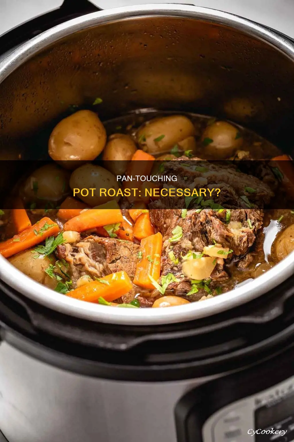 do you need the pot roast to touch the pan