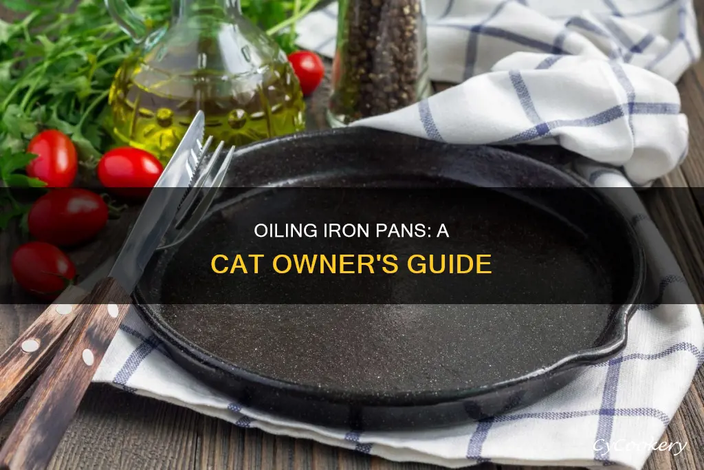 do you need to oil cats iron pan