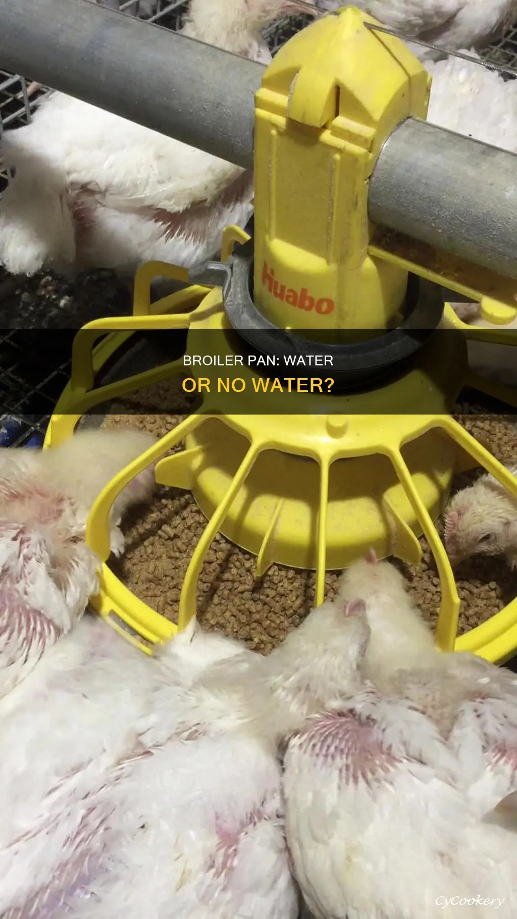 do you need to put water in a broiler pan