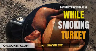 Smoking Turkey: Water Pan Needed?