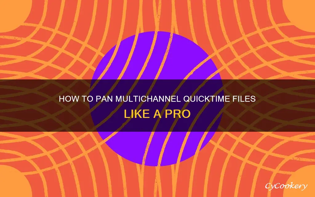 do you pan multichannel quicktimes