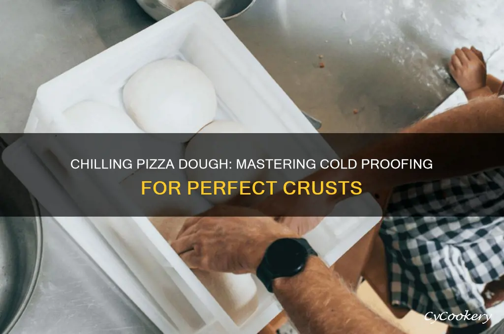 do you proof piza dough in the refrigerator