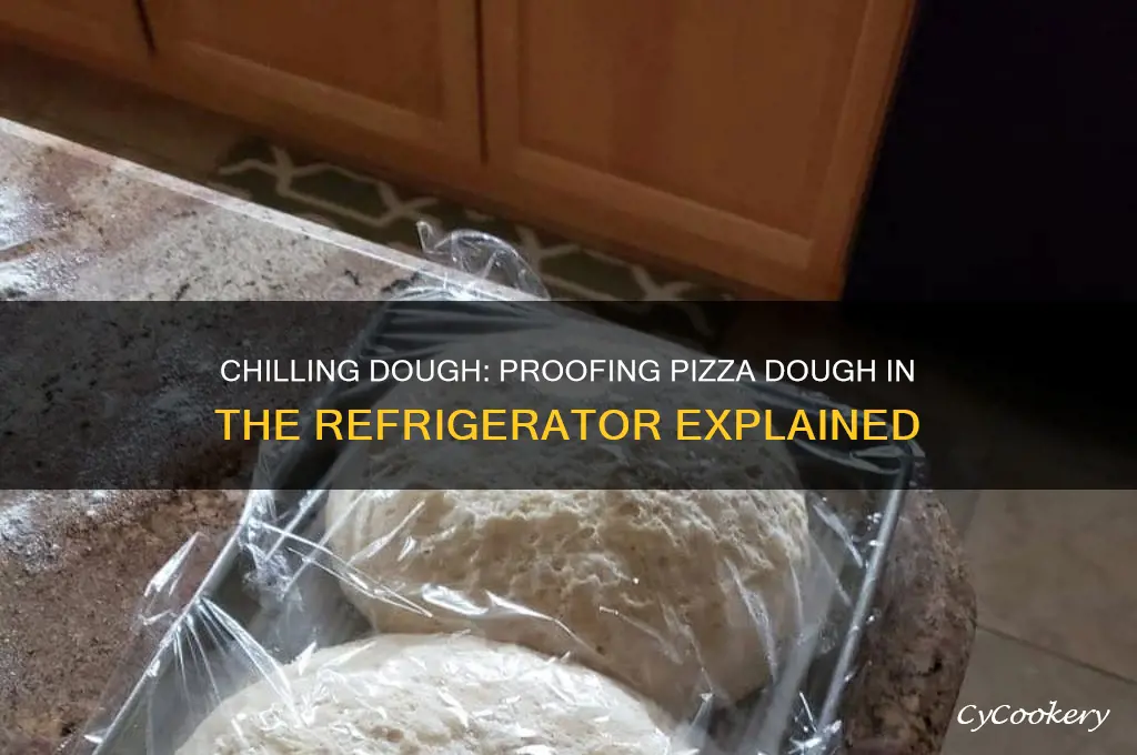 do you proof pizza dough in the refrigerator
