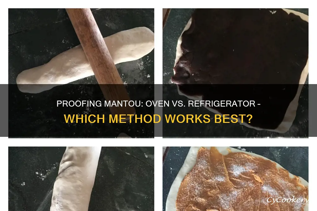 do you proof your mantou in oven or refrigerator