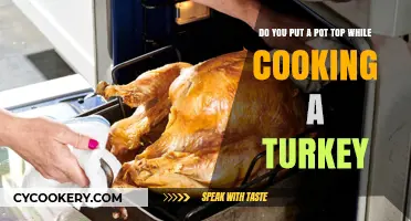 The Perfect Turkey: Lid On or Off?
