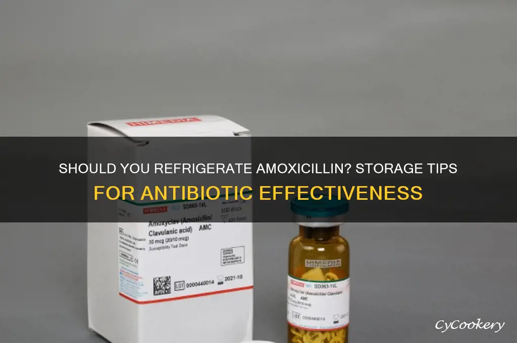 do you put amoxicillin in the refrigerator
