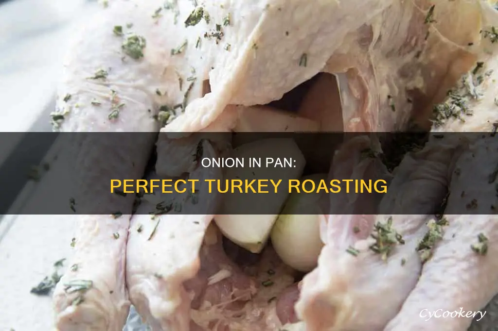 do you put an onion in pan when roasting turkey