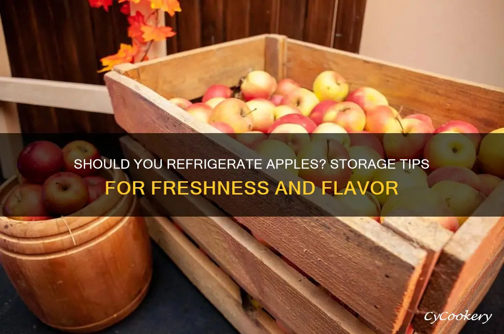 do you put apples in the refrigerator