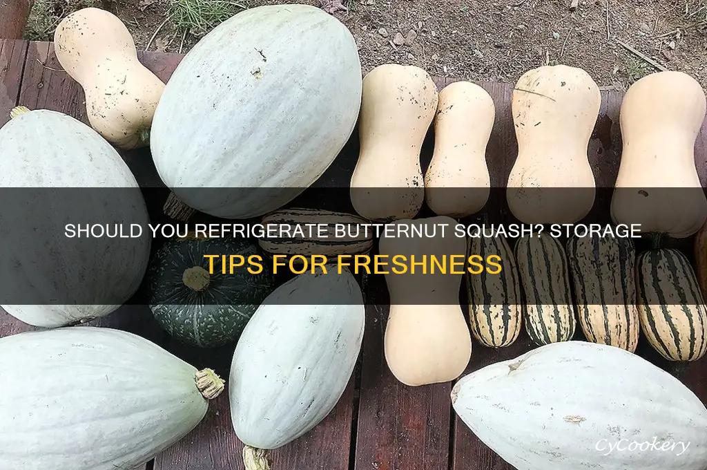 do you put butternut squash in the refrigerator