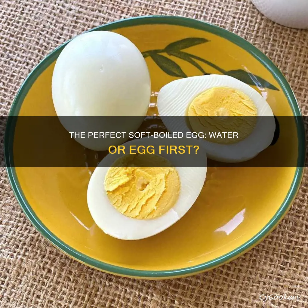 do you put eggs in pan before the water boils