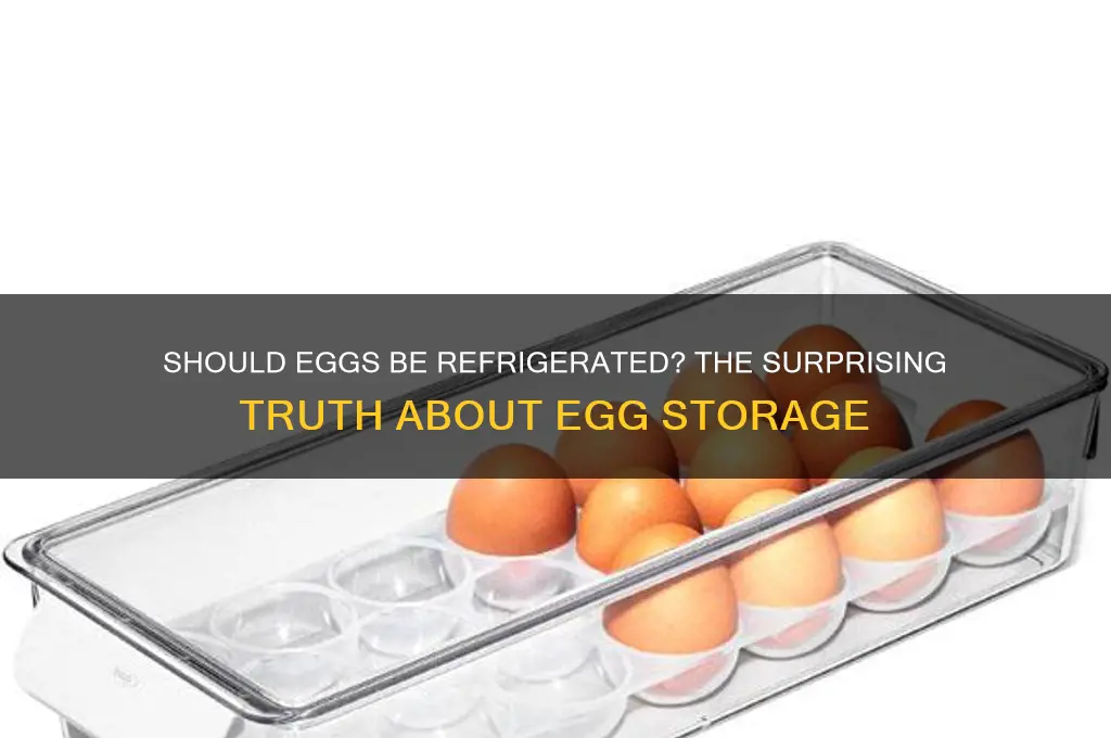 do you put eggs in the refrigerator
