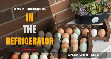 Should Farm Fresh Eggs Be Refrigerated? A Storage Guide