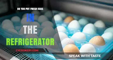 Should Fresh Eggs Be Refrigerated? A Storage Guide for Optimal Freshness
